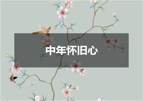 中年怀旧心