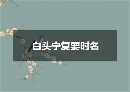 白头宁复要时名