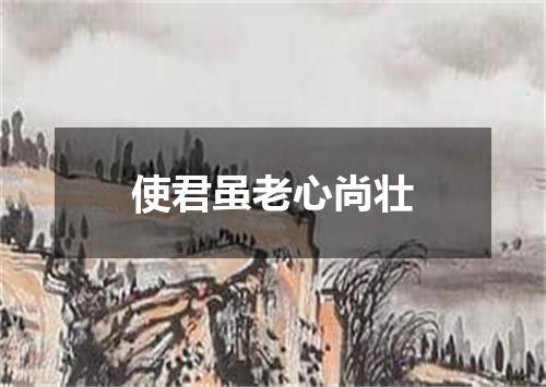 使君虽老心尚壮