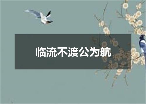 临流不渡公为航