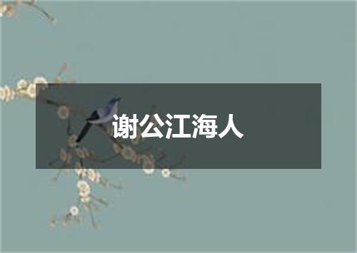 谢公江海人