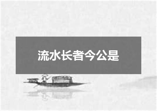 流水长者今公是