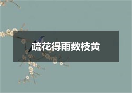 疏花得雨数枝黄