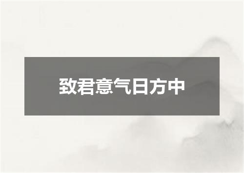 致君意气日方中