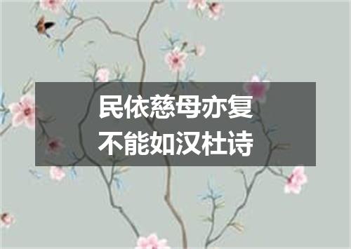 民依慈母亦复不能如汉杜诗