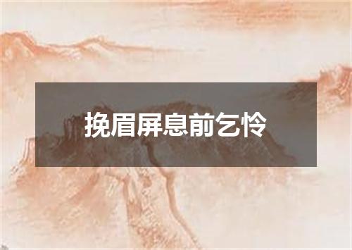 挽眉屏息前乞怜