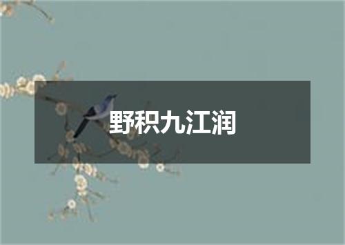 野积九江润