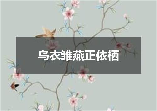 乌衣雏燕正依栖