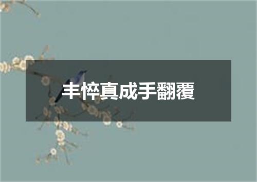 丰悴真成手翻覆