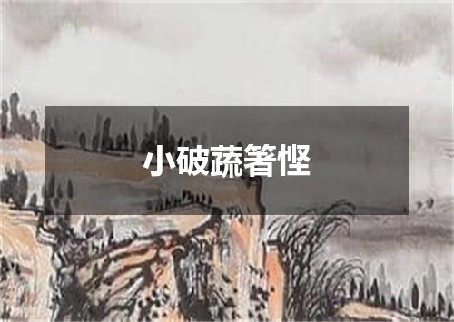 小破蔬箸悭