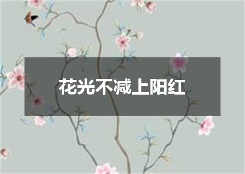 花光不减上阳红