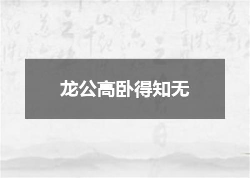 龙公高卧得知无