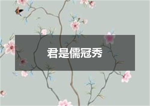 君是儒冠秀