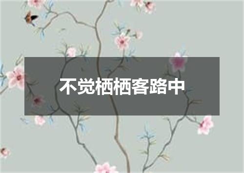 不觉栖栖客路中