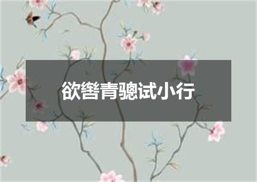 欲辔青骢试小行