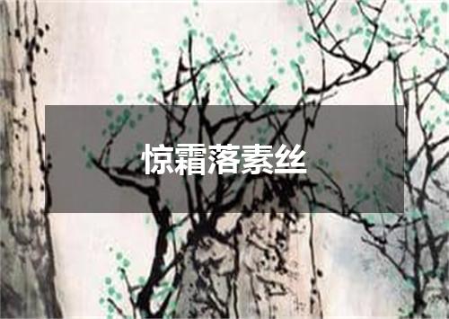 惊霜落素丝