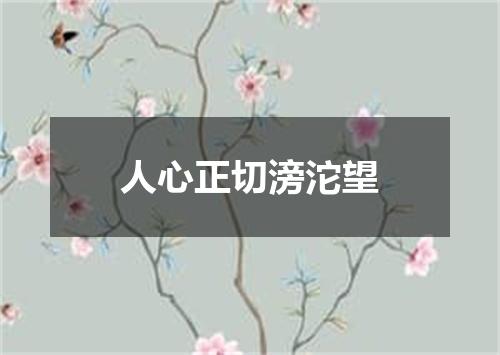 人心正切滂沱望