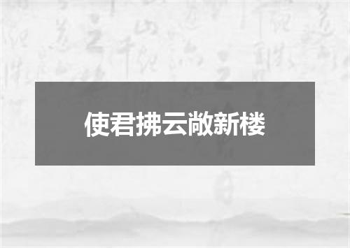 使君拂云敞新楼