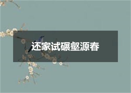 还家试碾壑源春