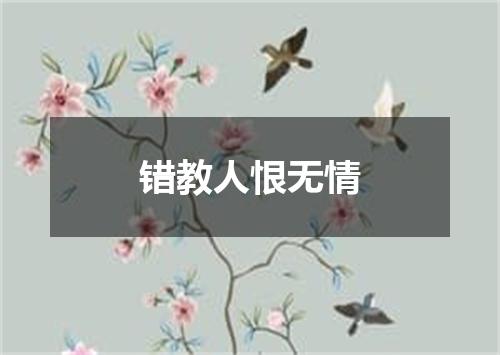 错教人恨无情