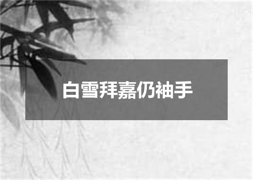 白雪拜嘉仍袖手