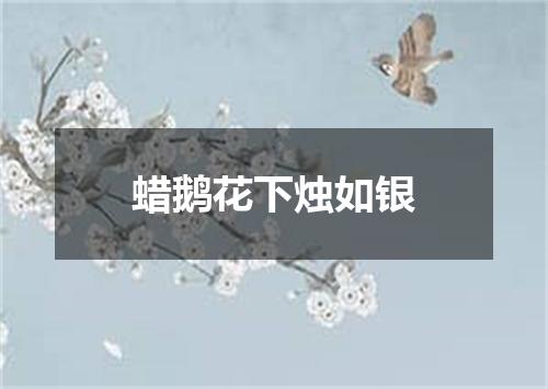 蜡鹅花下烛如银