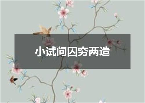 小试问囚穷两造