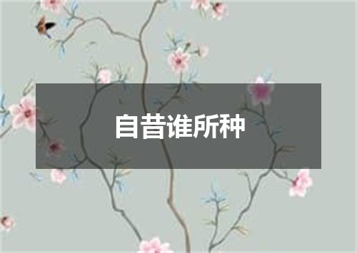 自昔谁所种