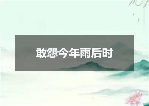 敢怨今年雨后时