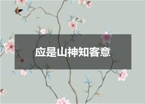 应是山神知客意