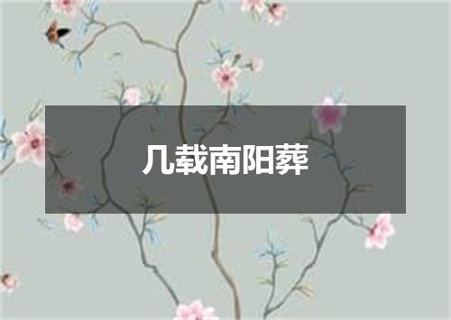 几载南阳葬