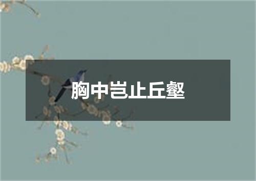 胸中岂止丘壑