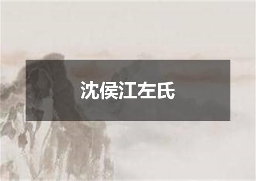 沈侯江左氏