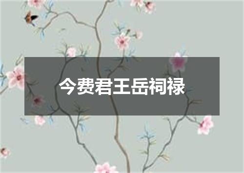 今费君王岳祠禄