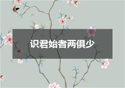 识君始者两俱少