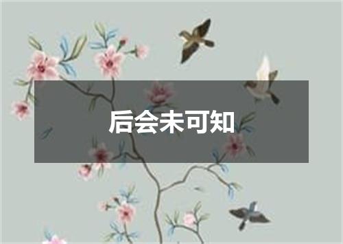 后会未可知