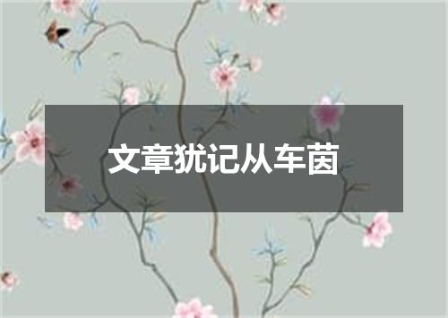 文章犹记从车茵