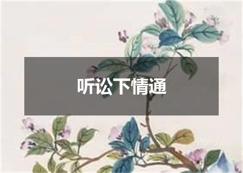 听讼下情通