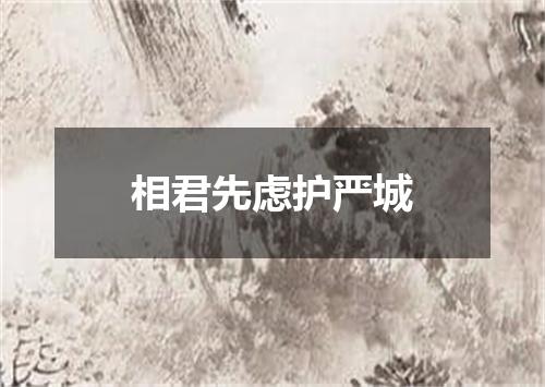 相君先虑护严城