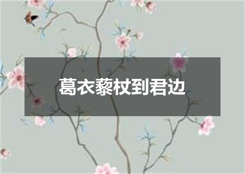 葛衣藜杖到君边