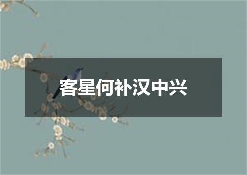 客星何补汉中兴