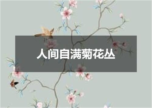 人间自满菊花丛