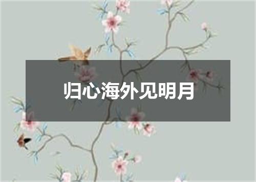 归心海外见明月