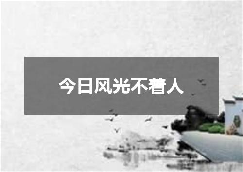 今日风光不着人