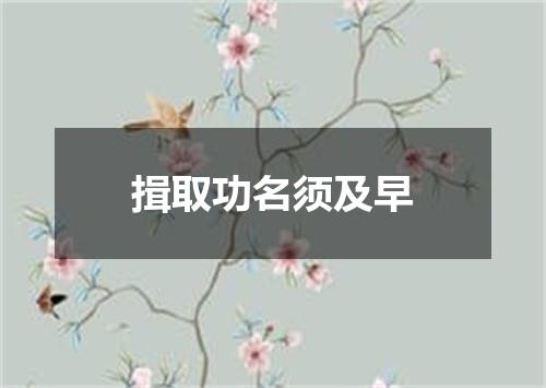 揖取功名须及早