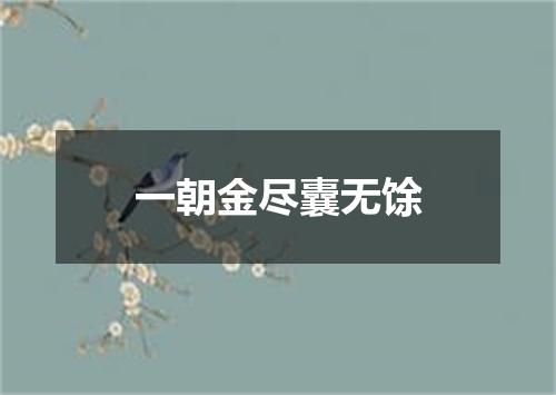 一朝金尽囊无馀