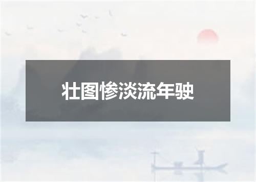 壮图惨淡流年驶