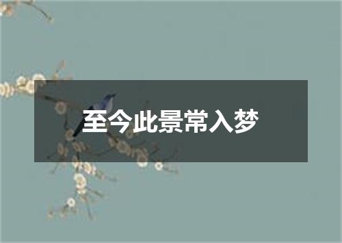 至今此景常入梦