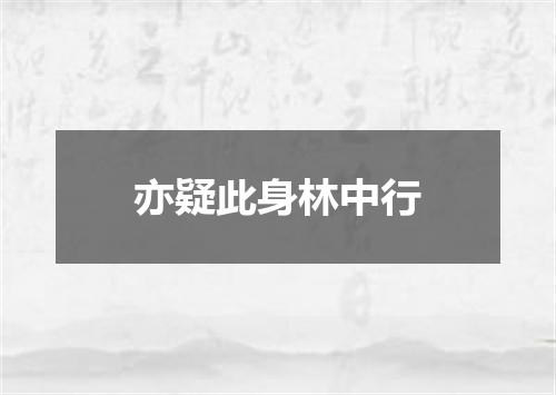 亦疑此身林中行