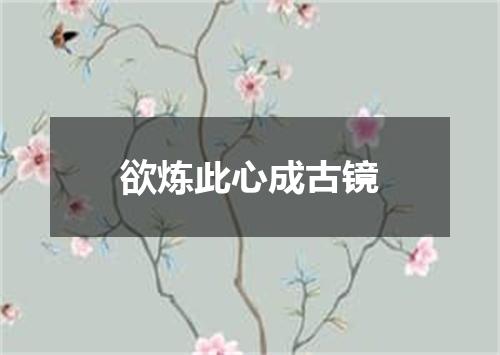 欲炼此心成古镜